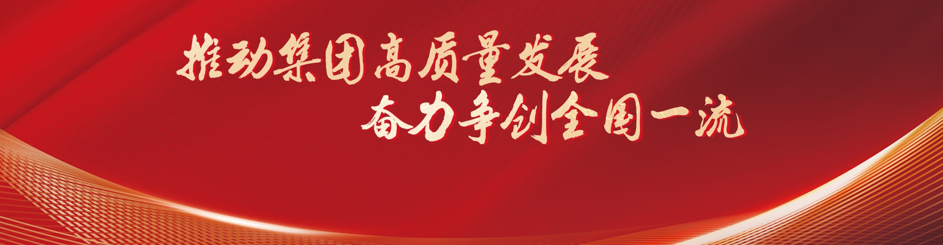 集团概况